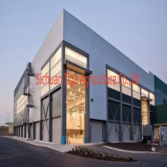 高品質、高効率、高強度および容量の中国工場販売価格カスタマイズされたモデル小麦トウモロコシ水田使用縦粒バケット エレベーター